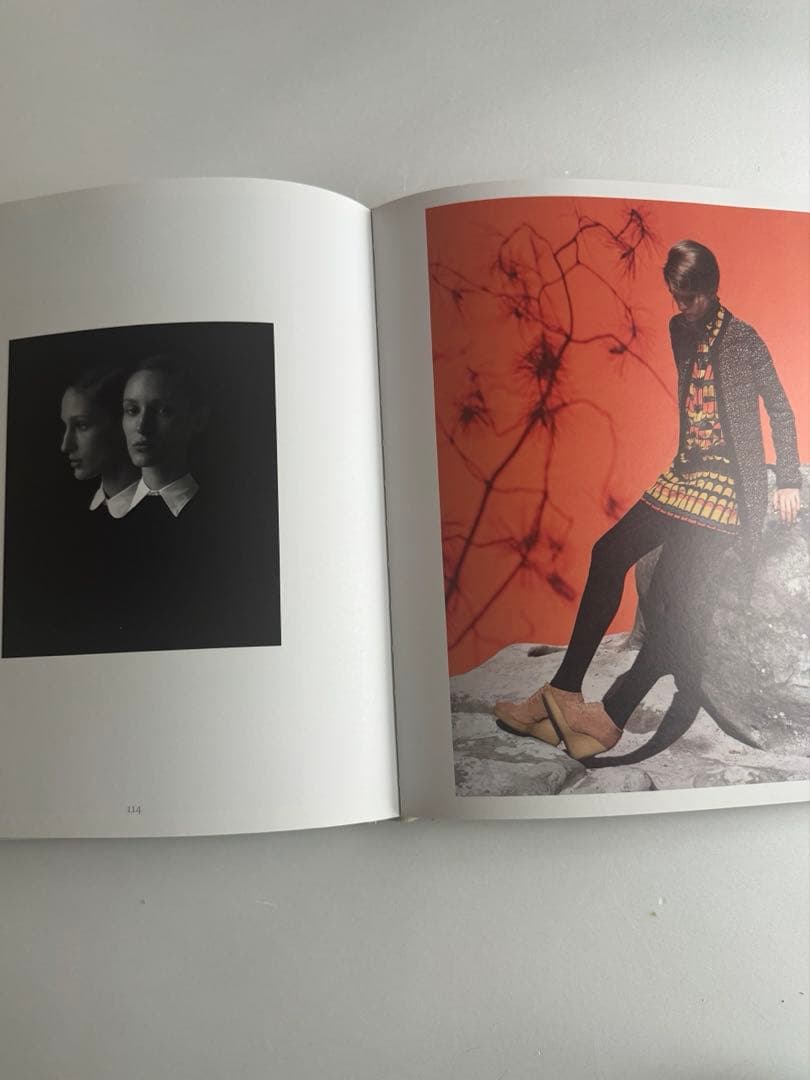 アート・デザイン・音楽 Viviane Sassen: In And Out Of Fashion