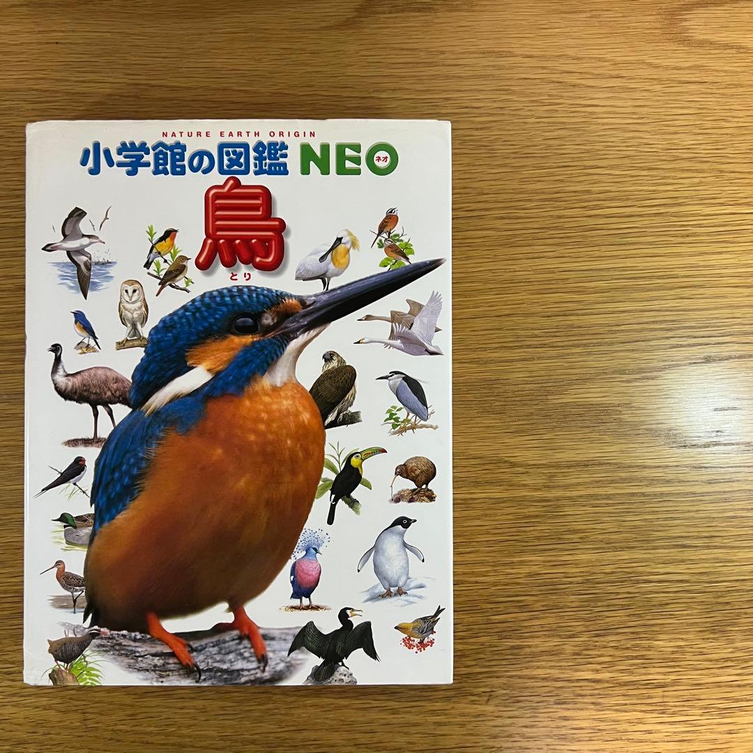 小学館の図鑑NEO 13冊セット動物・恐竜・植物・鳥・花 DVD付き プレNEO
