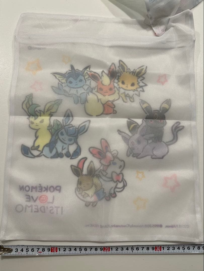 イッツデモ　ポケモン　ブイズ集合　洗濯ネット　2点セット