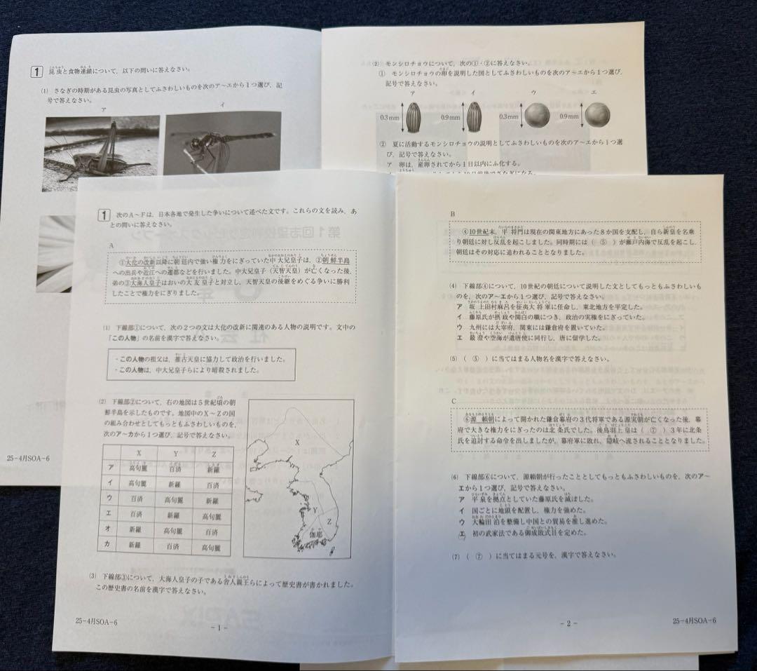 SAPIX 6年 2025年第1回志望校判定サピックスオープン　2026年受験用