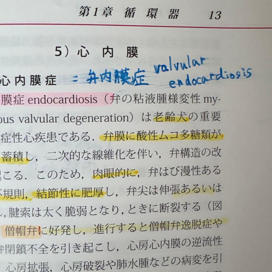 みかん