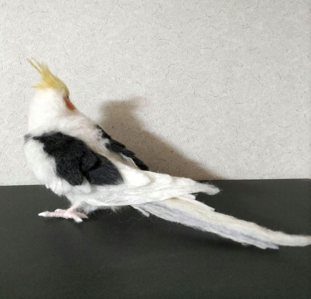 羊毛フェルト オカメインコ パイド