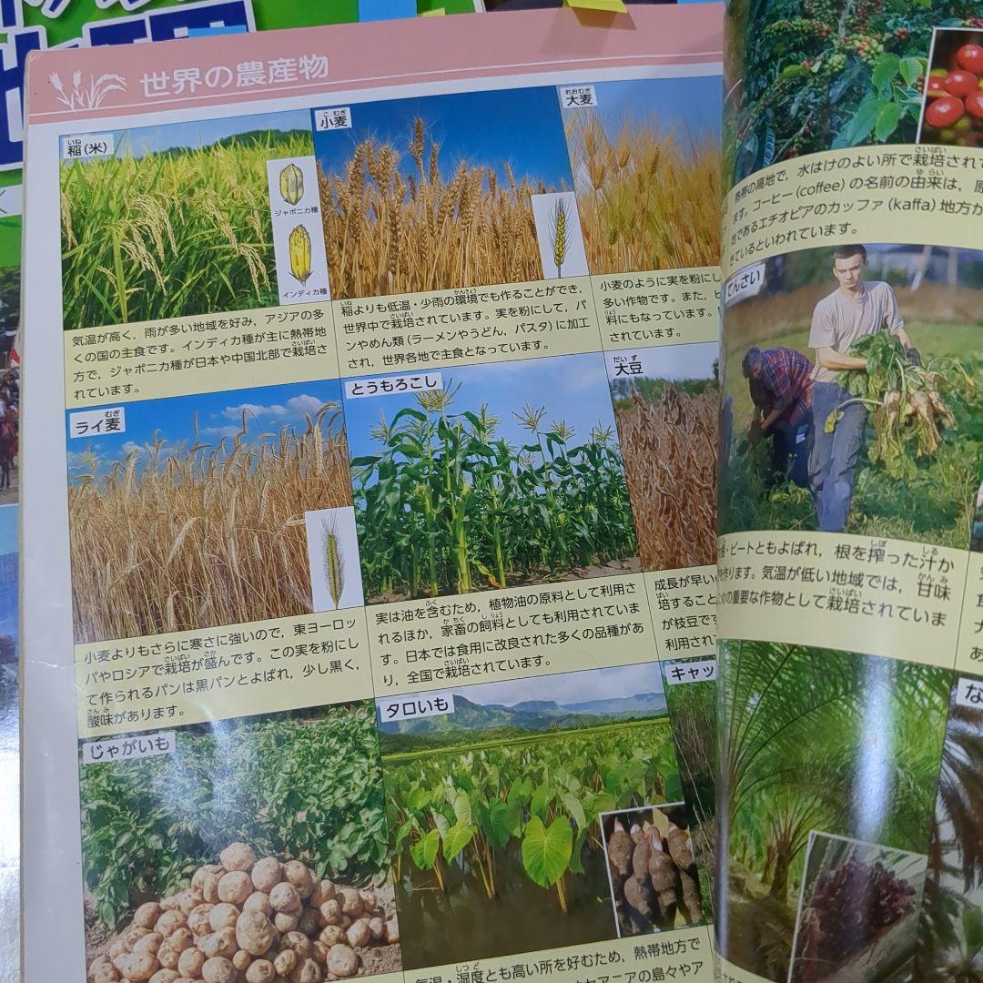 中学生地理教科書　資料集　セット