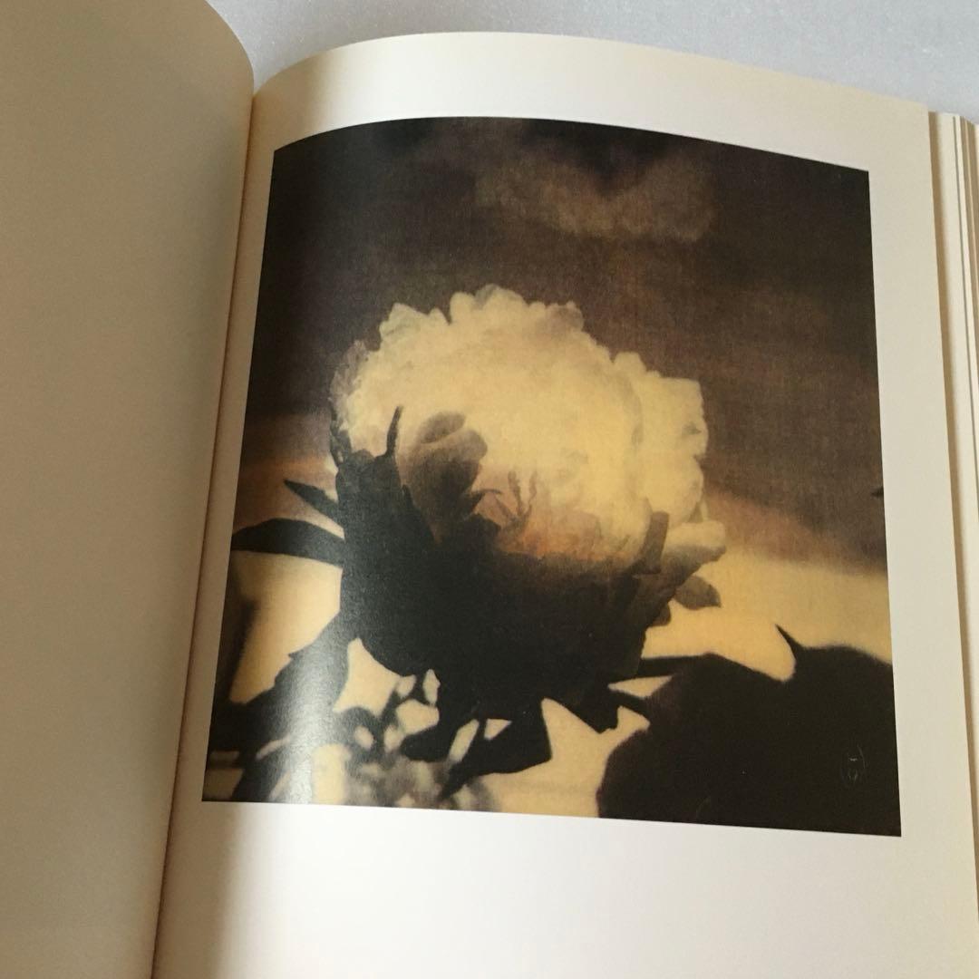 Cy Twombly \"Photographs 1951-2007\" 写真集