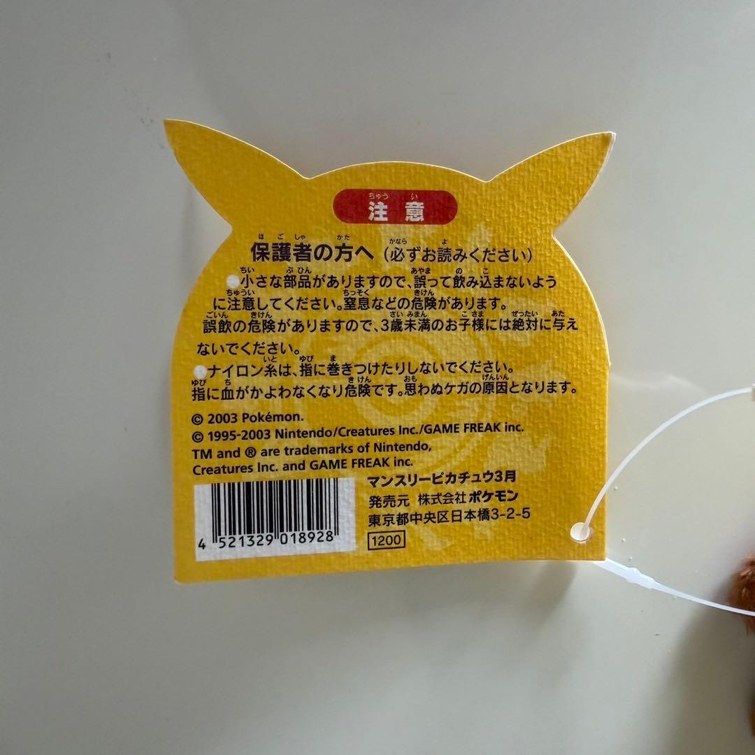 ポケモン　ポケットモンスターマンスリーピカチュウ2003年3月②