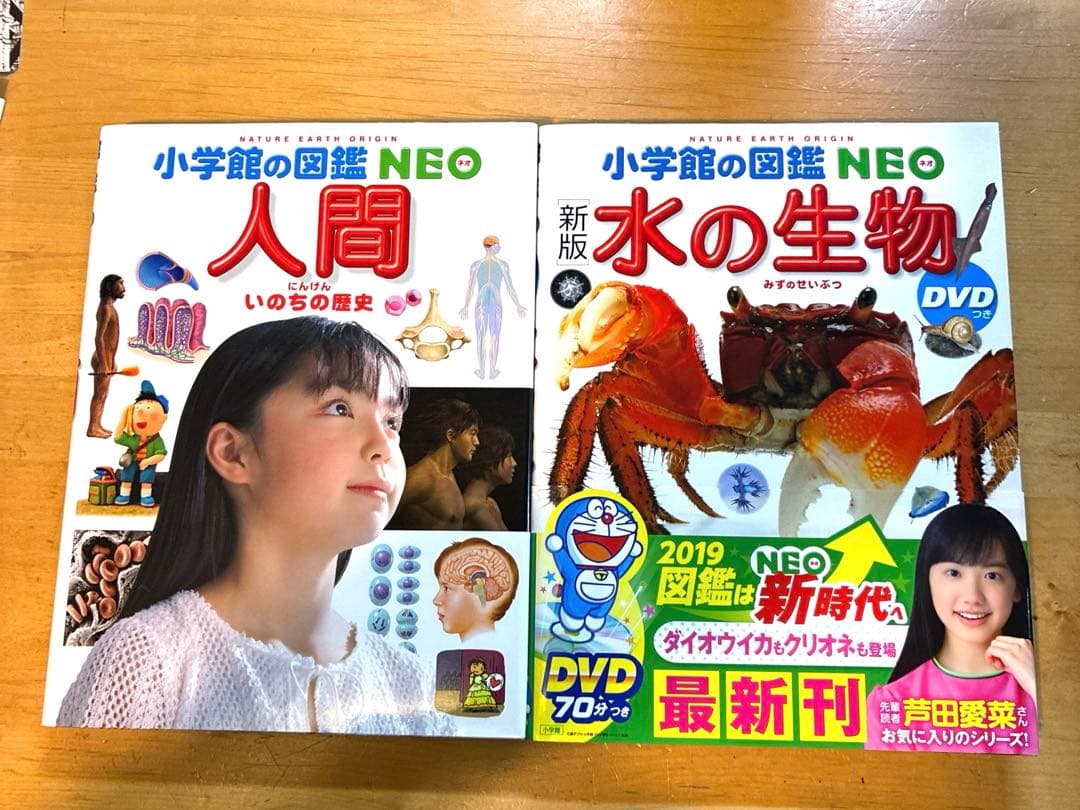 小学館の図鑑　NEO 他　10冊セット