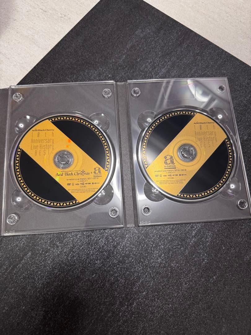 ミュージック 10th Anniversary DVD Acid Black Cherry
