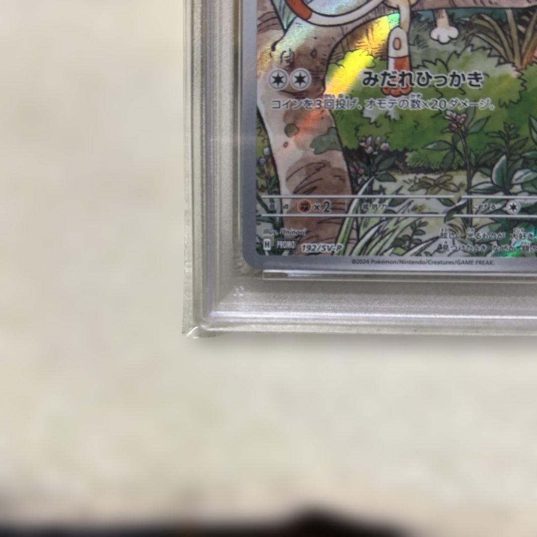 ニャース ar プロモ psa8