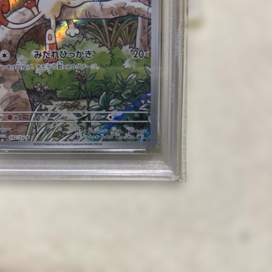 ニャース ar プロモ psa8