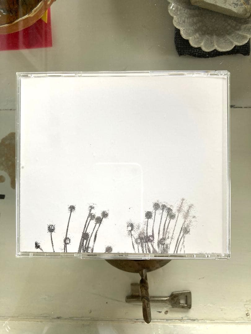 ◾️GASBOOK009 INSECT｜映像と音楽が交差するアートセット【限定盤】