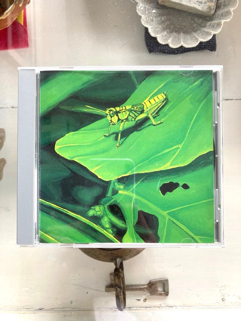 ◾️GASBOOK009 INSECT｜映像と音楽が交差するアートセット【限定盤】