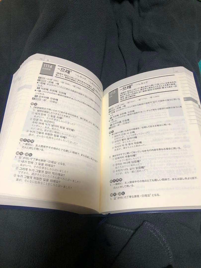 標準韓国語文法辞典　アルク