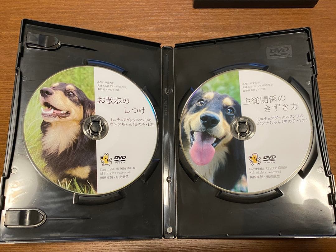 あなたの愛犬が見間違えるほどいい子になる森田流犬のしつけ法