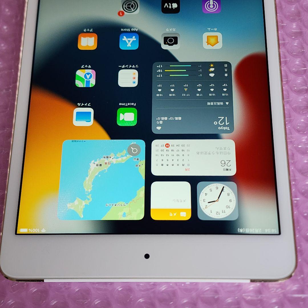 良品　iPad mini 第4世代　バッテリー大変良好　Cellularモデル