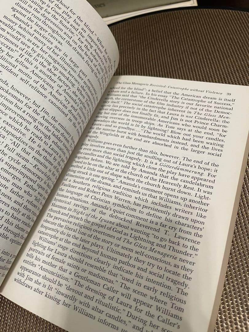 洋書 Tennessee Williams: Critical Essays