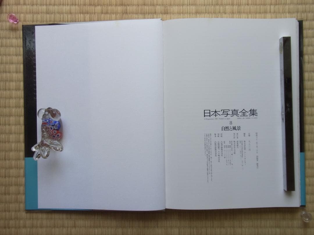 日本写真全集8 自然と風景 写真集 帯付 月報付 小学館
