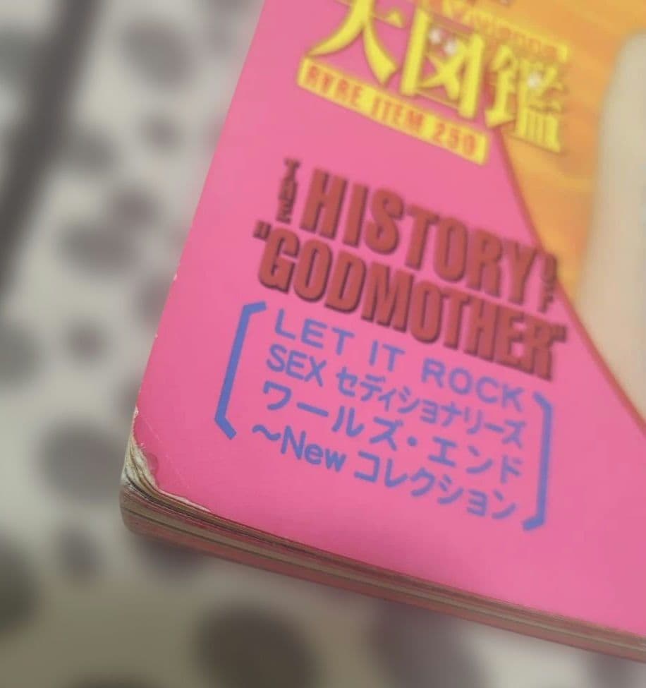 私たちのヴィヴィアンウエストウッド Vivienneオマケ袋付き