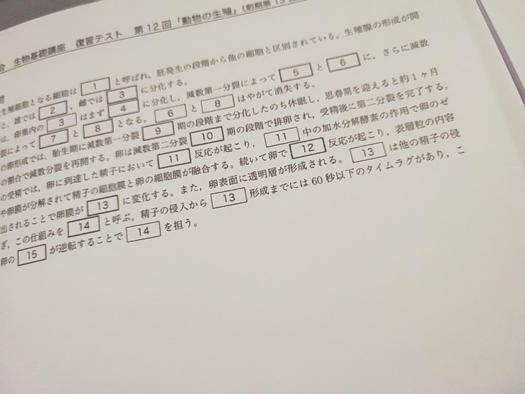鉄緑会　生物基礎講座　復習テスト　通期セット　李・柳沼先生　河合塾　駿台