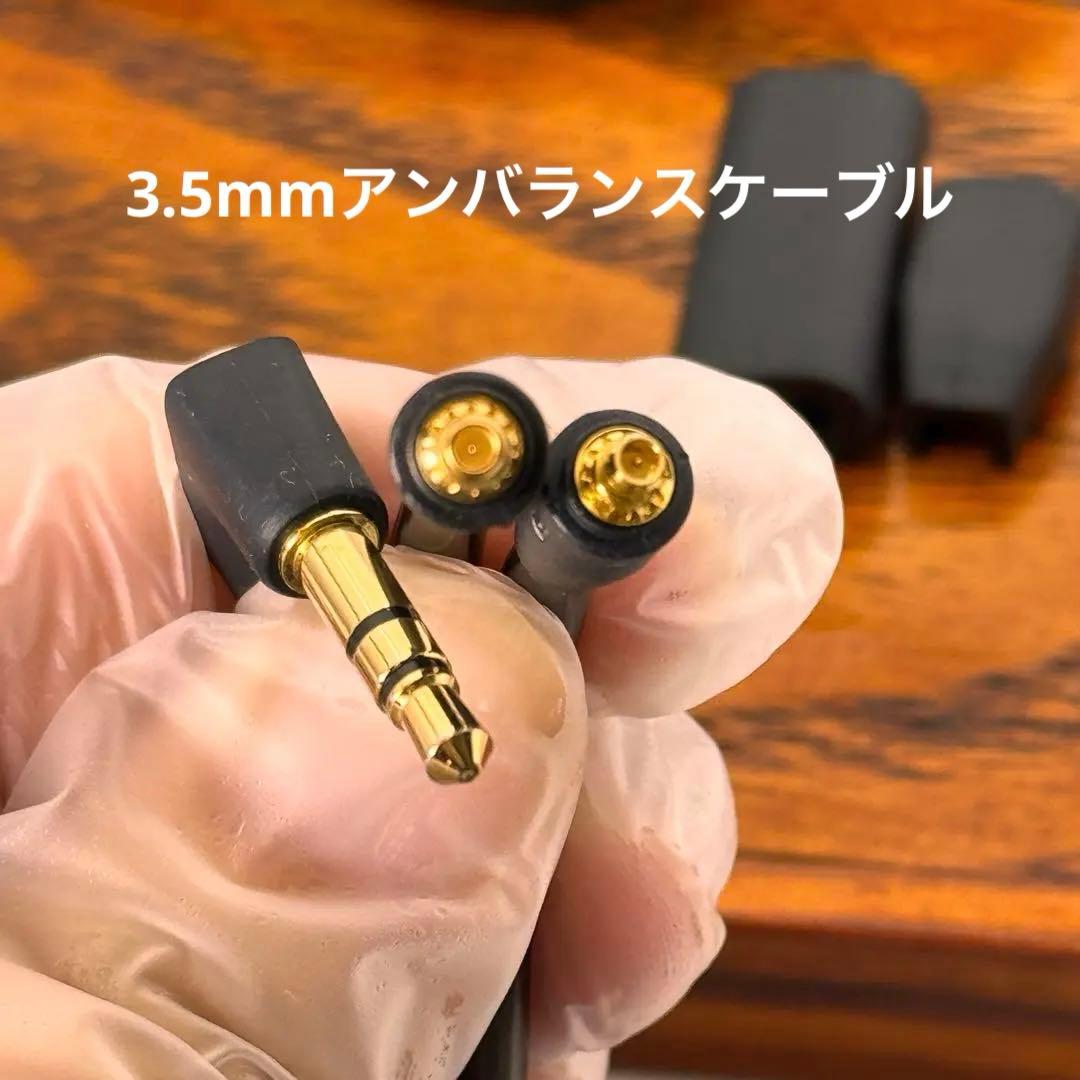 Sennheiser IE 600 ハイエンド 有線イヤホン 付属品完備 正規品