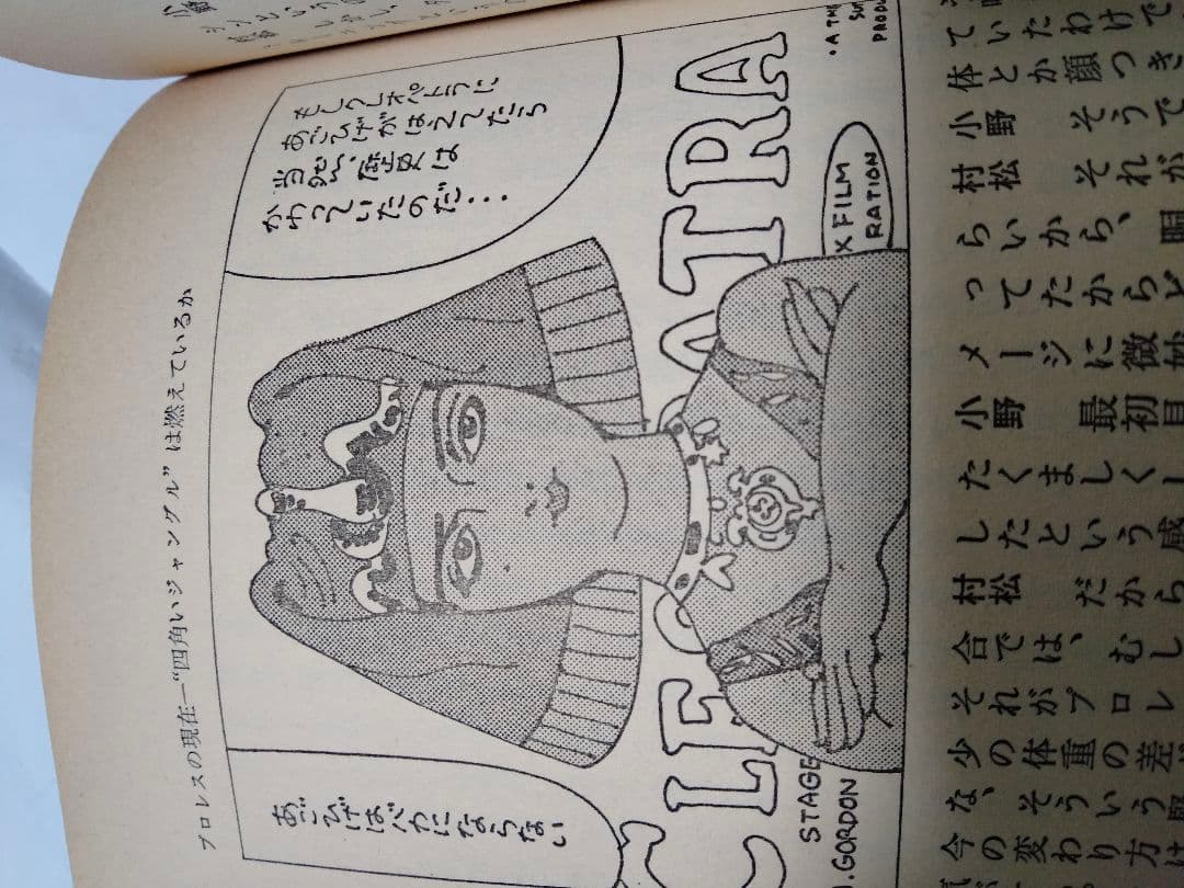 プロレス本名著 四角いジャングル 村松友視 小野好恵 新日 全日 猪木 馬場