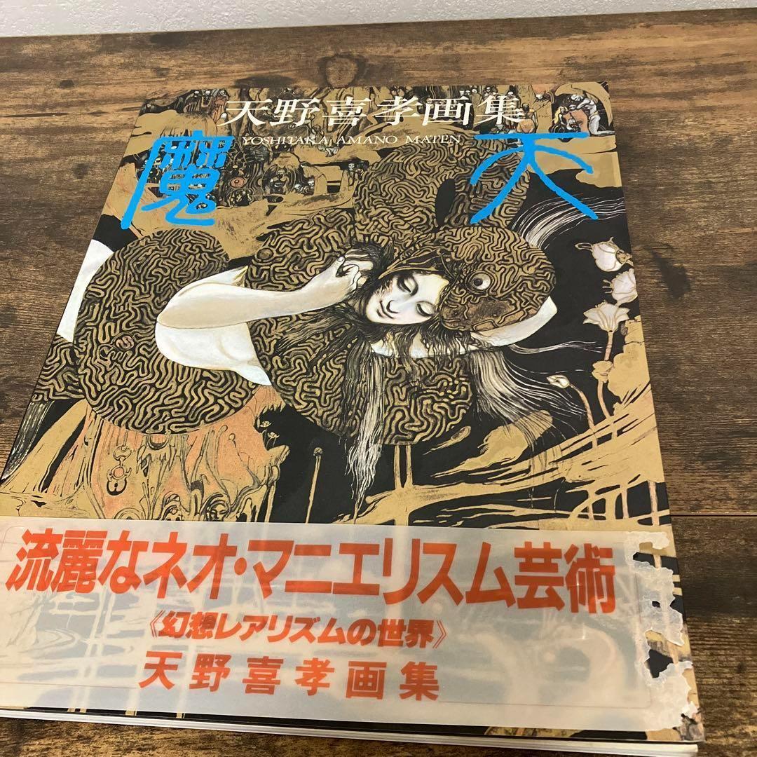 天野喜孝 画集 セット 幻夢宮 FINAL FANTASY 魔天 飛天