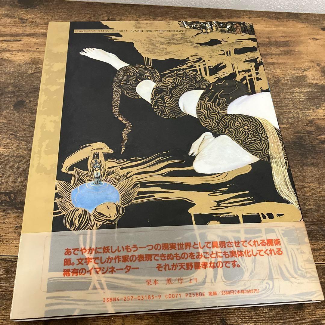 天野喜孝 画集 セット 幻夢宮 FINAL FANTASY 魔天 飛天