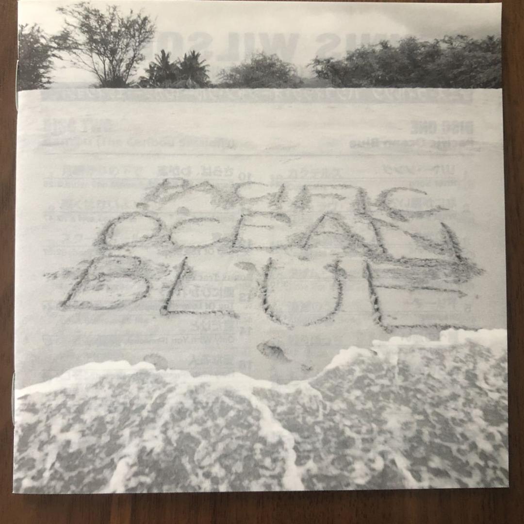 国内盤！2CD！LEGACY EDITION！DENNIS WILSON/デニス