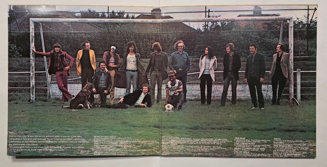 DCC高音質重量盤 ロッド・スチュワート Never a Dull Moment