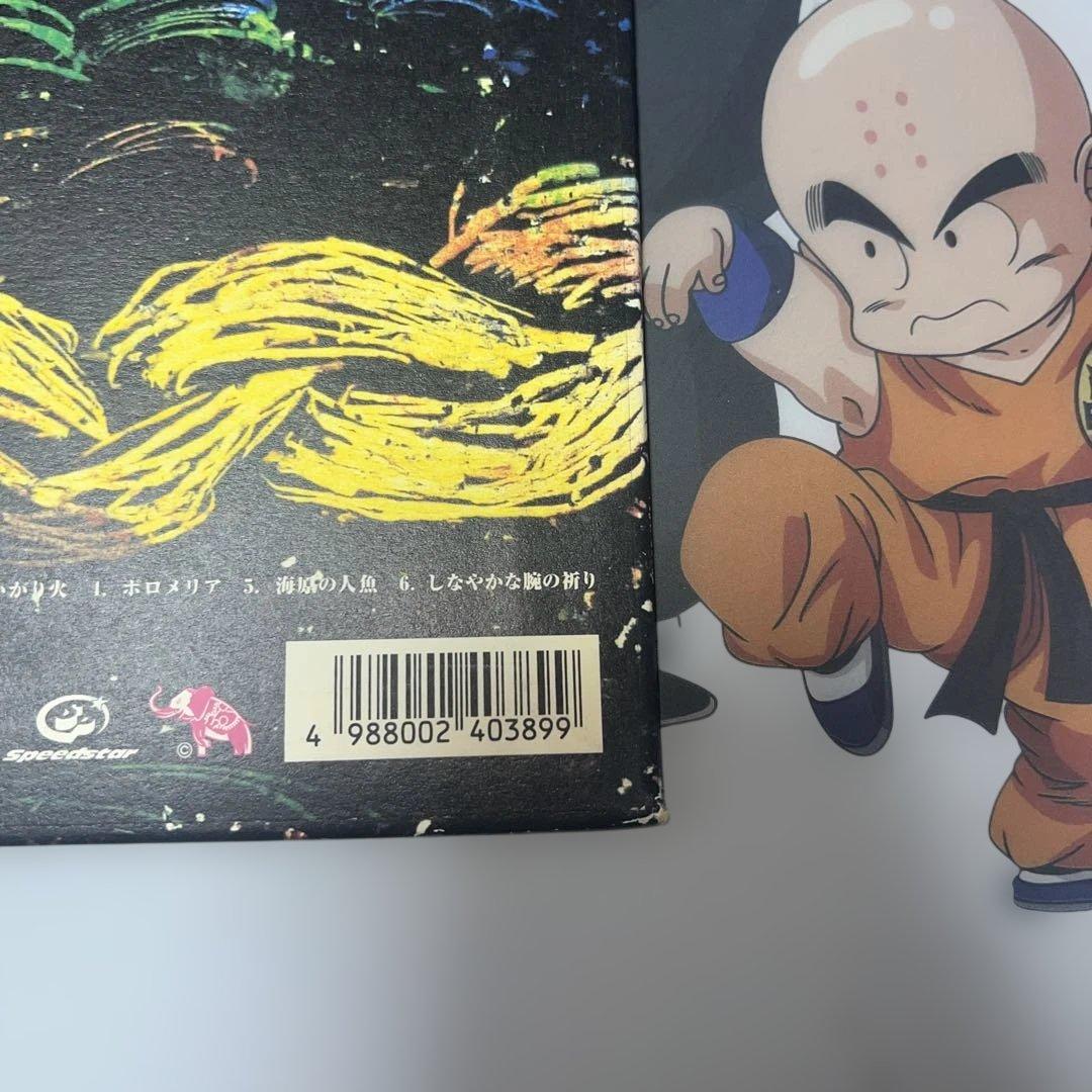 完全生産限定盤 Cocco ラプンツェル アナログ レコード LP