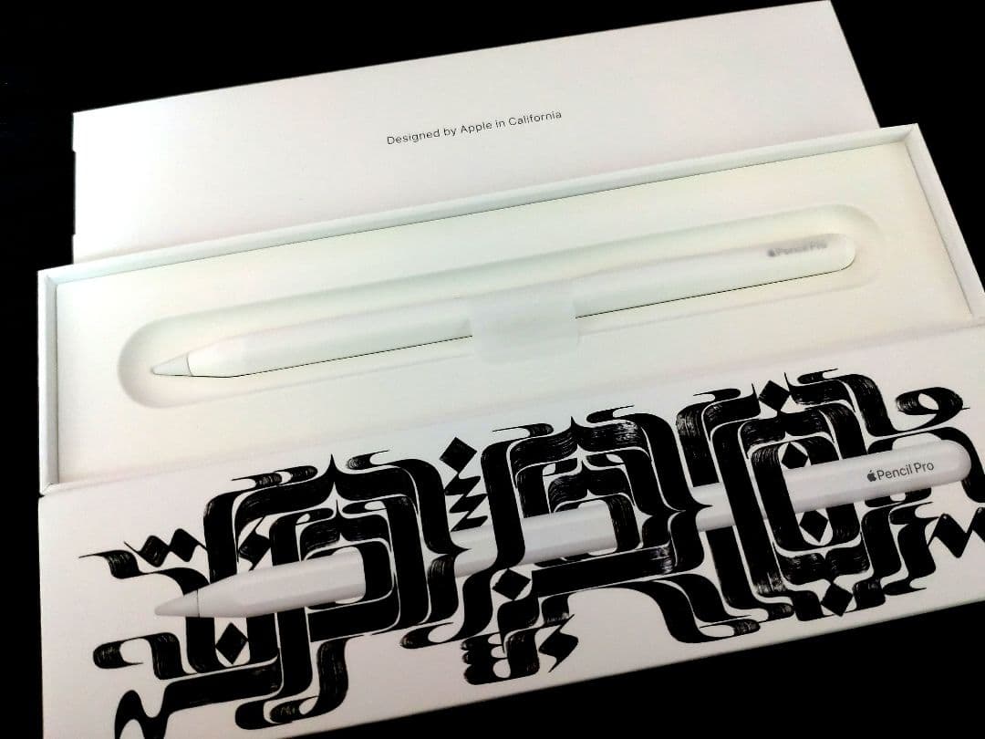 Apple pencil Pro アップル ペンシル プロ