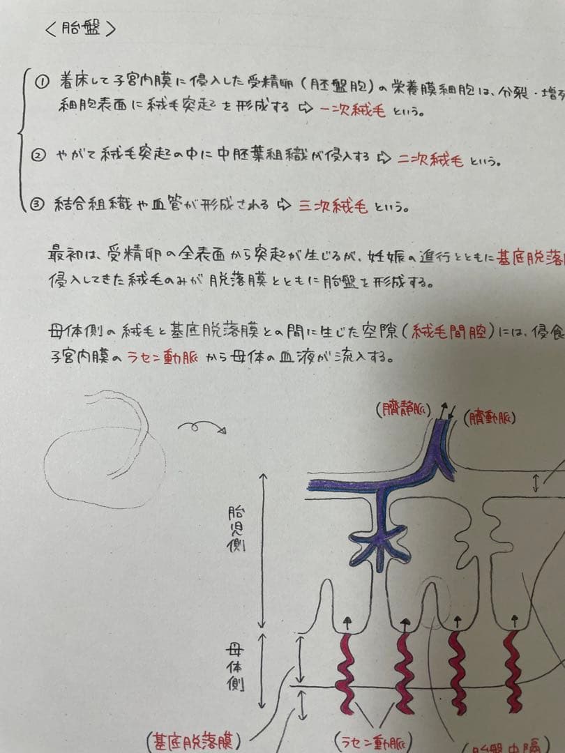 あきページ　助産師学校受験対策