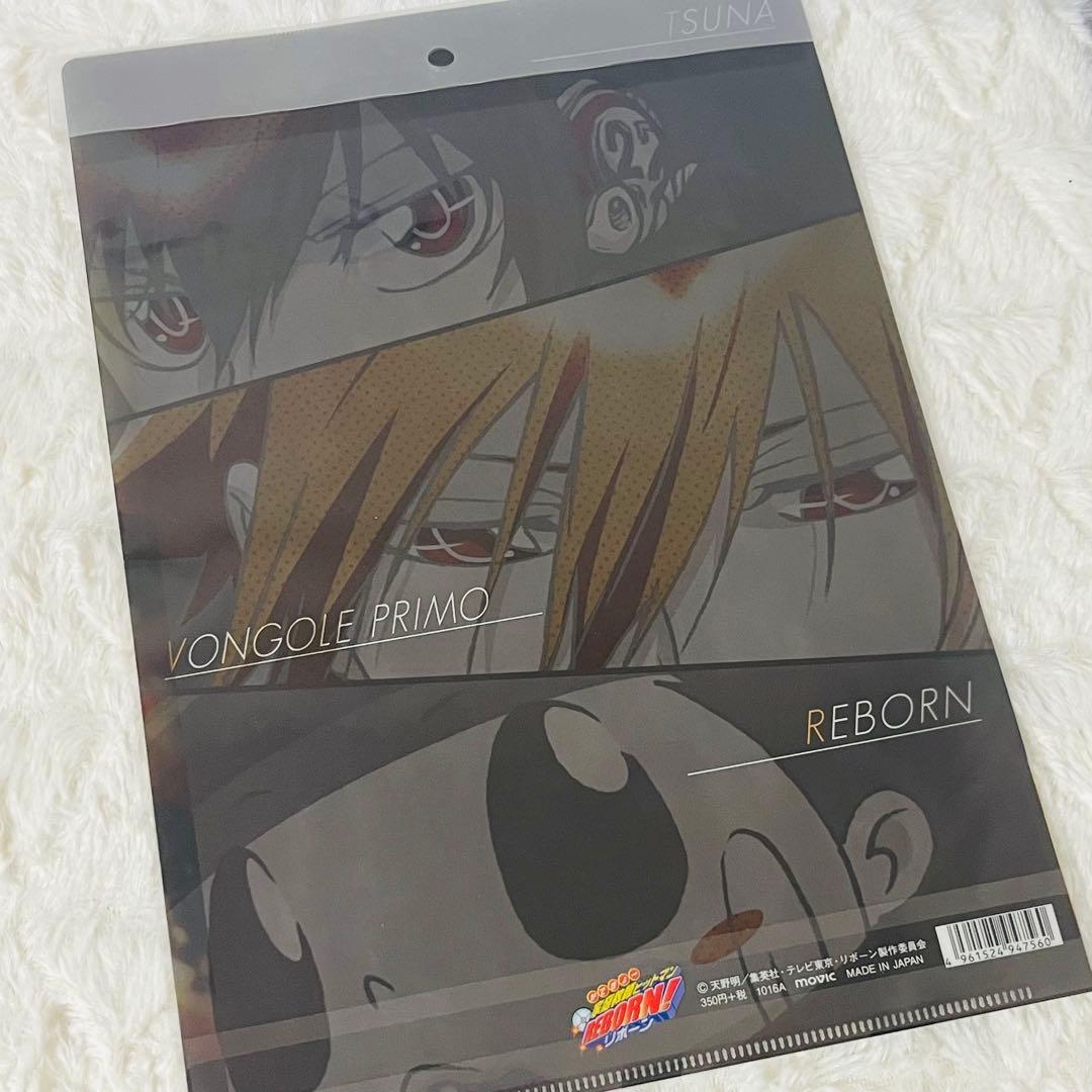 【希少】家庭教師ヒットマンREBORN 沢田綱吉 プリーモ クリアファイル 未開