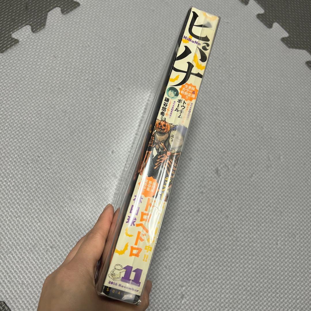 ヒバナ ドロヘドロ 林田球 2016年11月号 表紙 恵比寿