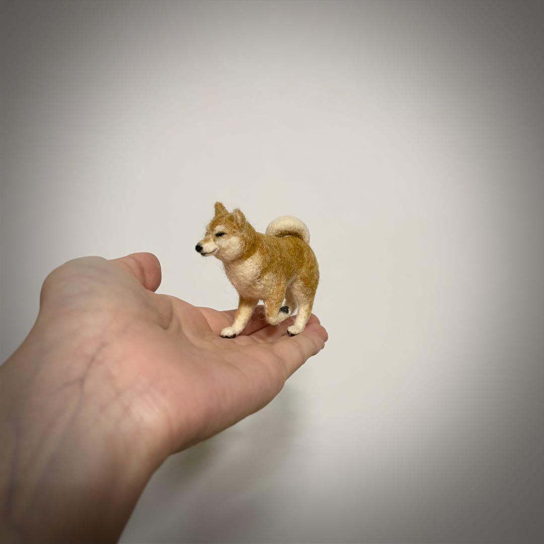 柴*女様 手のひら柴犬　おさんぽ