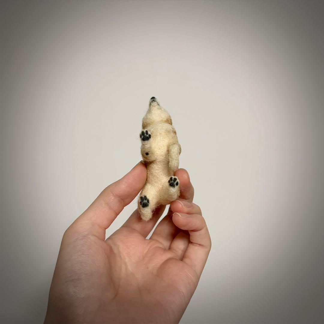 柴*女様 手のひら柴犬　おさんぽ