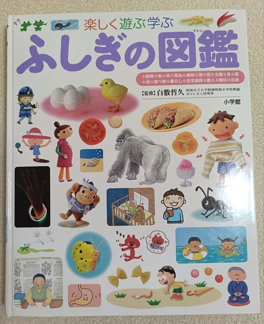 小学館の図鑑NEO 12冊+21世紀こども百科1冊 全13冊セット