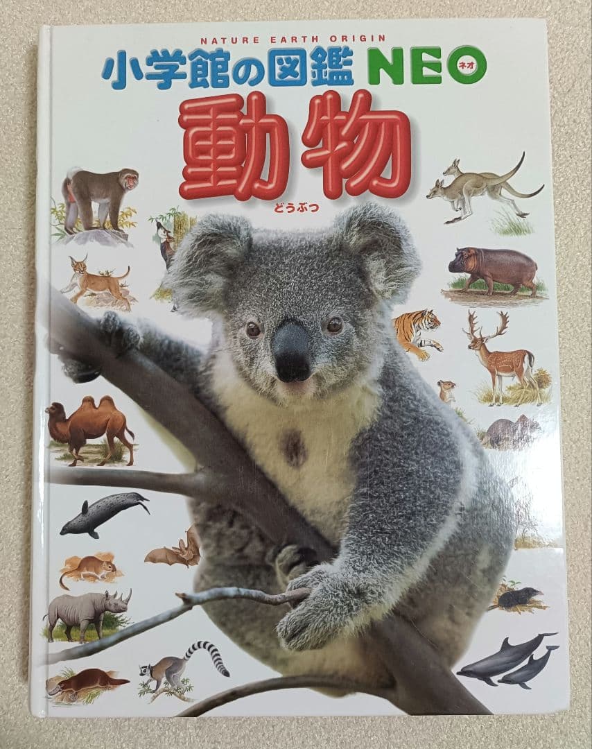 小学館の図鑑NEO 12冊+21世紀こども百科1冊 全13冊セット