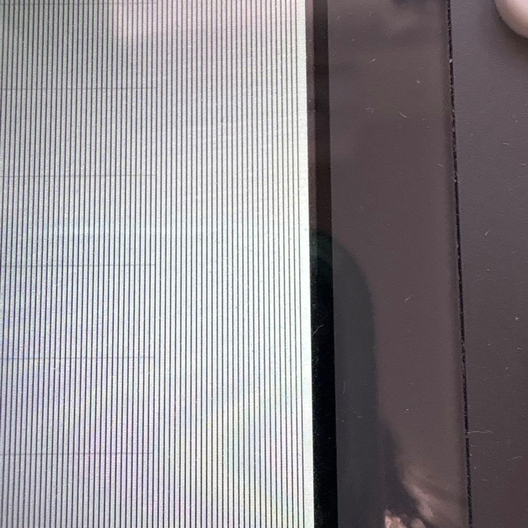 Nintendo Switch Lite グレー 本体　ジャンク品