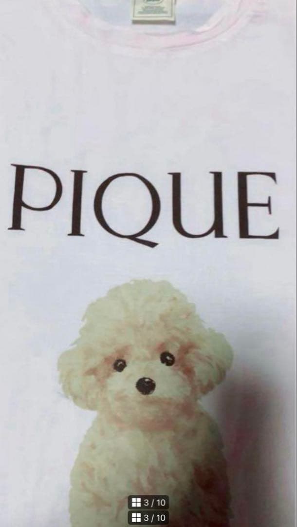 新品　gelato pique トイプードル　Tシャツ&ロングパンツセット