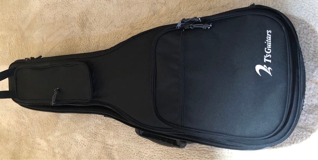 【美品】T's Guitars DST-22 Custom グレー エレキギター