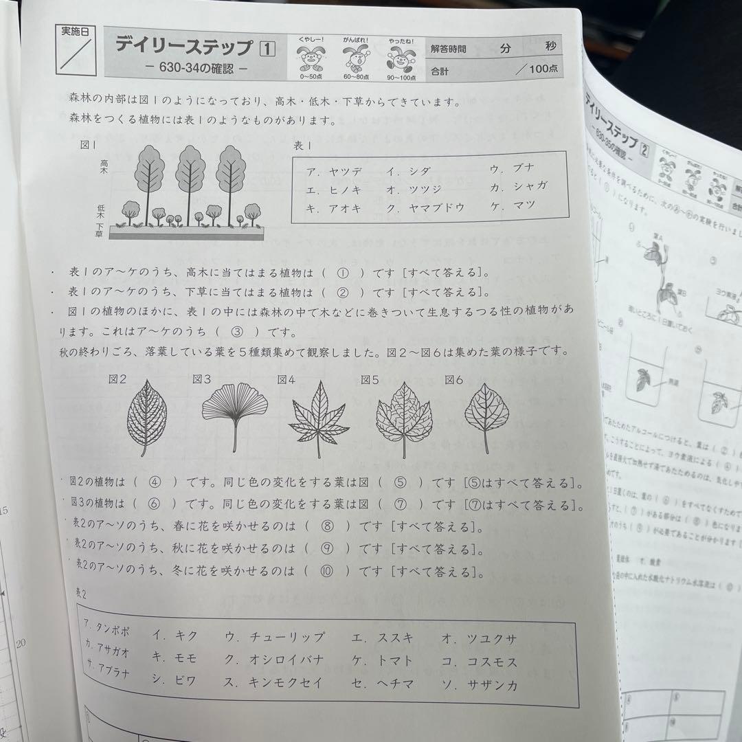 サピックス６年理科　通常授業　2024年入試用