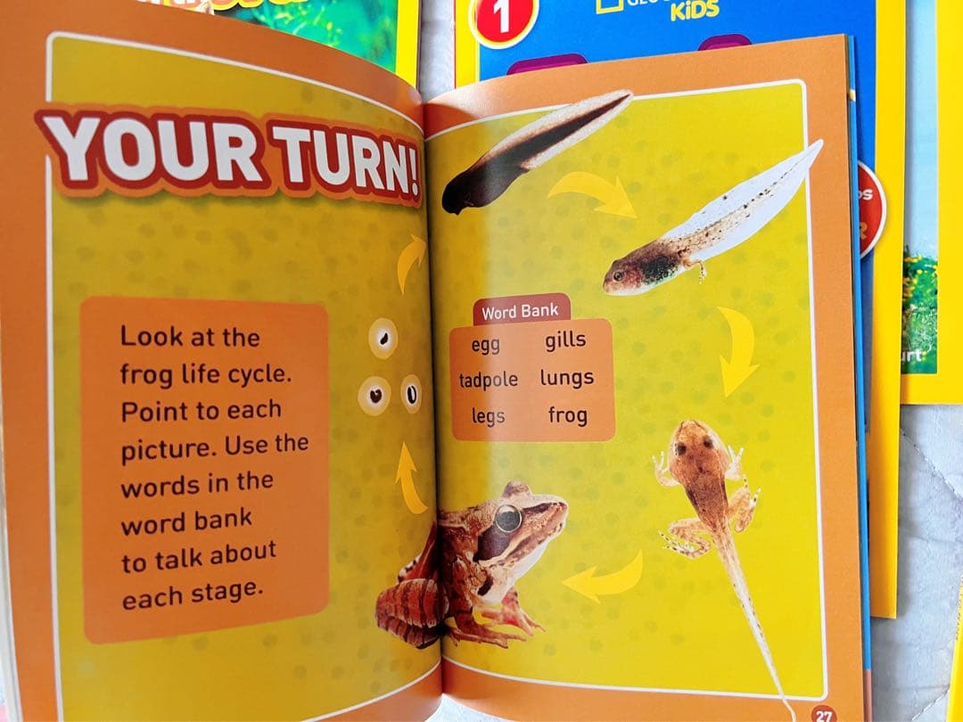 National Geographic Kids レベル1 の全46冊絵本　洋書