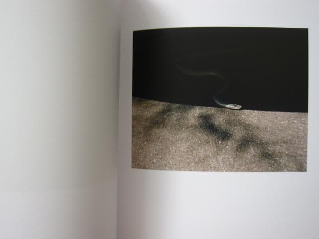 Find a Fallen Star　Regine Petersen　限定80部