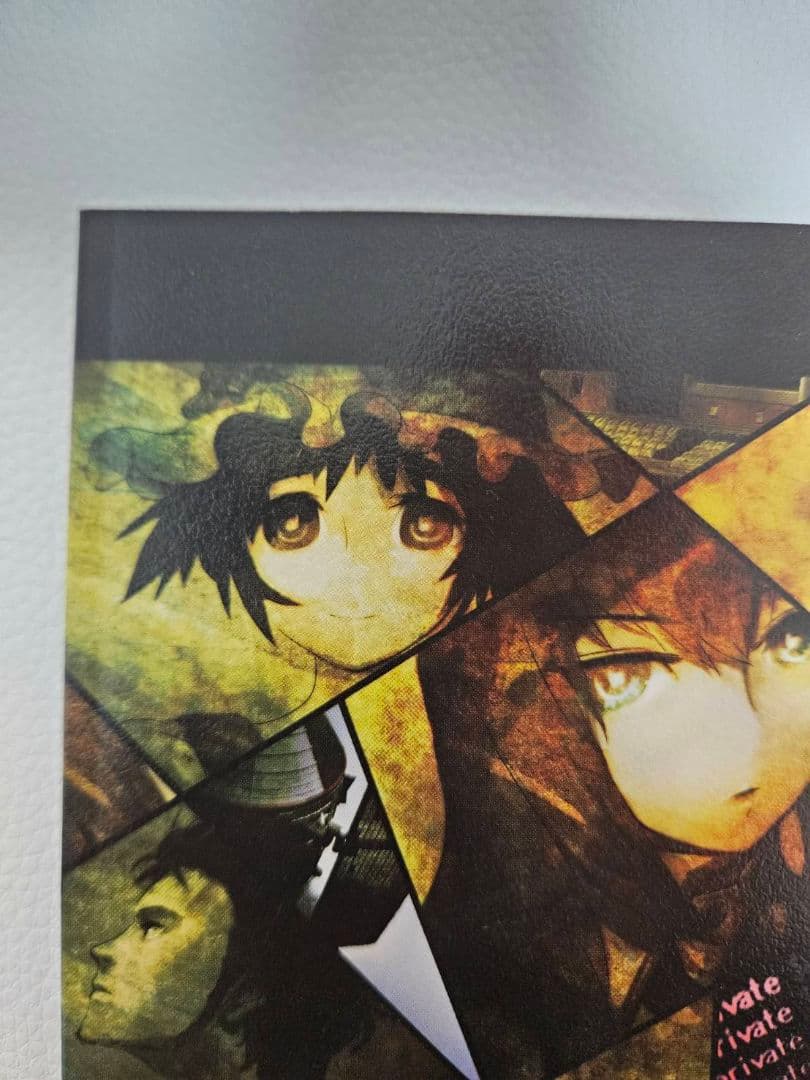 特製小冊子「STEINS;GATE 公式ファンブック」 非売品