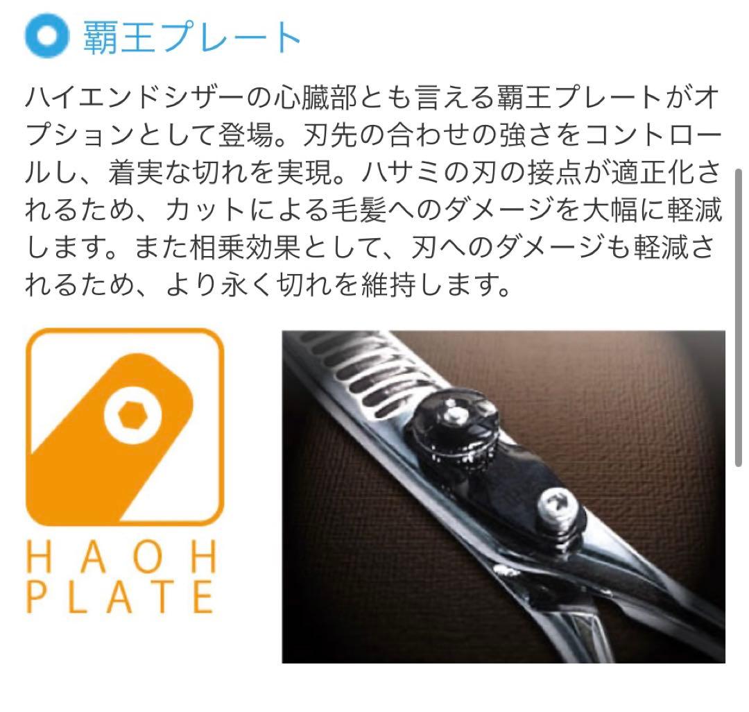 柳生　セニング　SH3 覇王プレートオプション