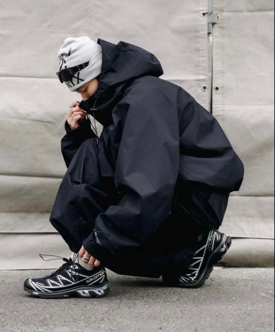 arc'teryx bird word toque バードワードトーク