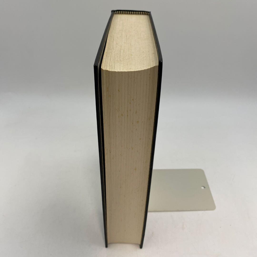 言語の小説と小説の言語