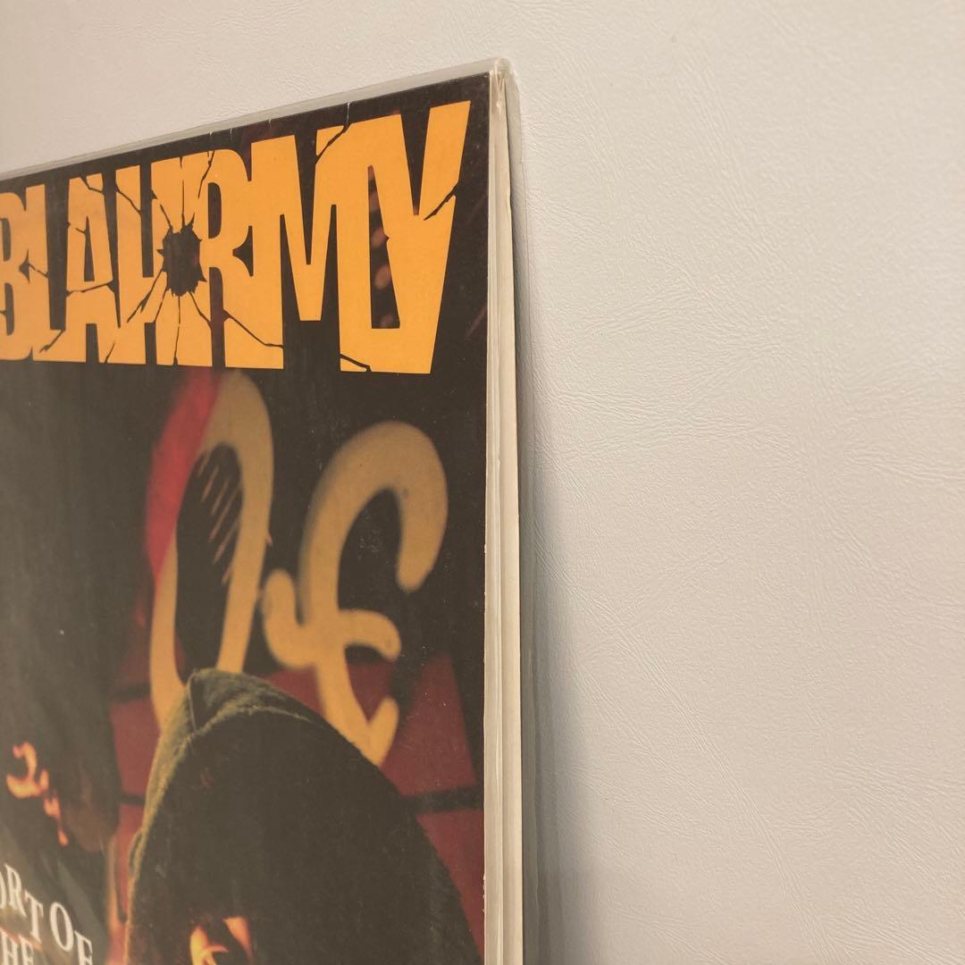 激レア BLAHRMY A REPORT OF THE BIRDSTRIKE