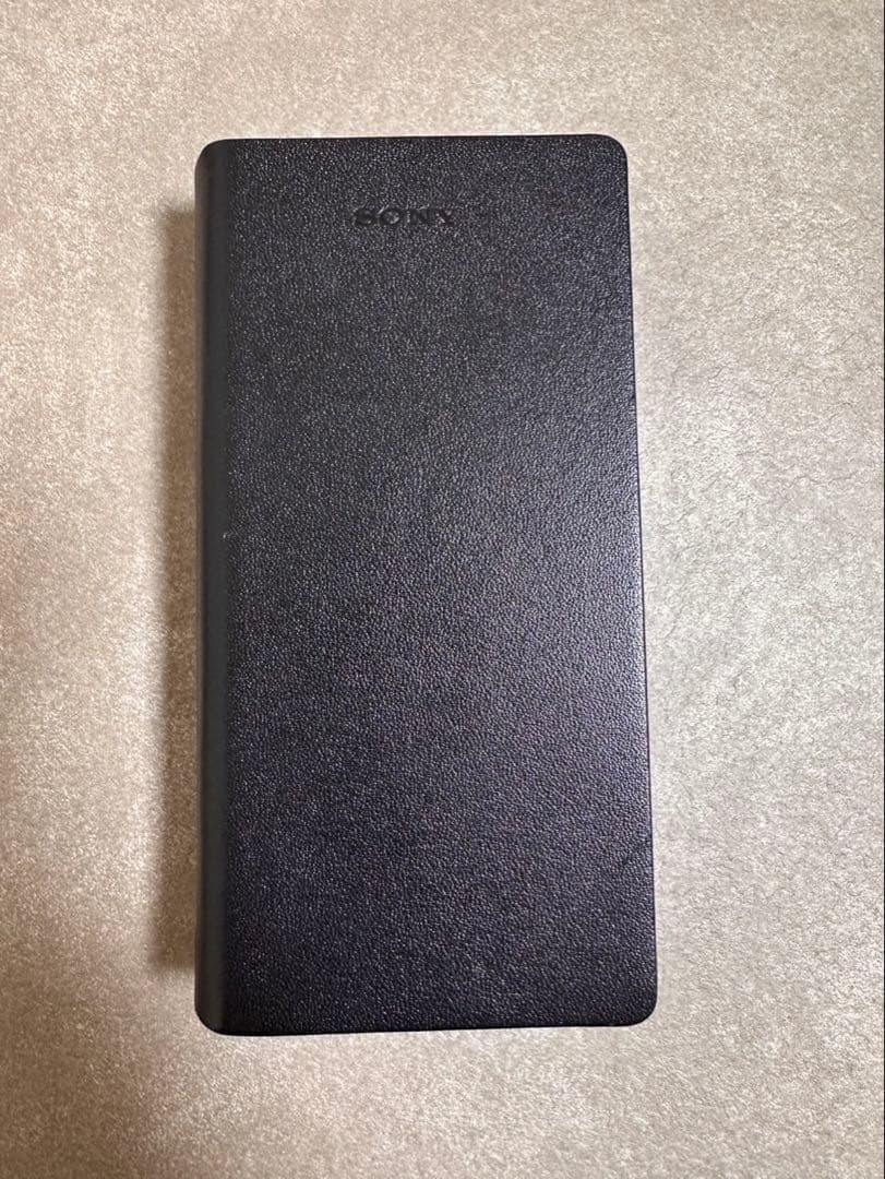 SONY NW-ZX300 NW-ZX300専用レザーケース