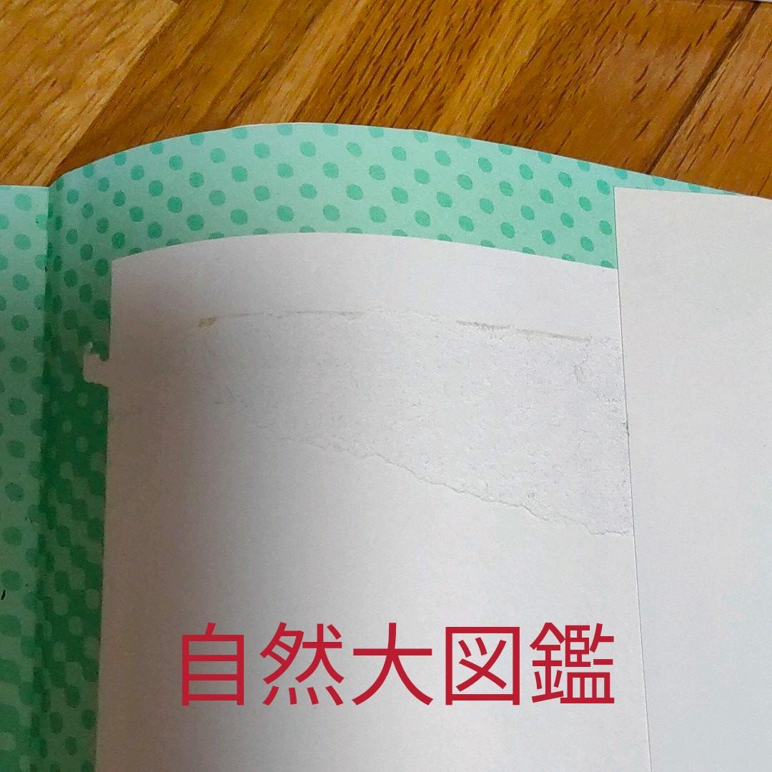 図鑑セット  13冊